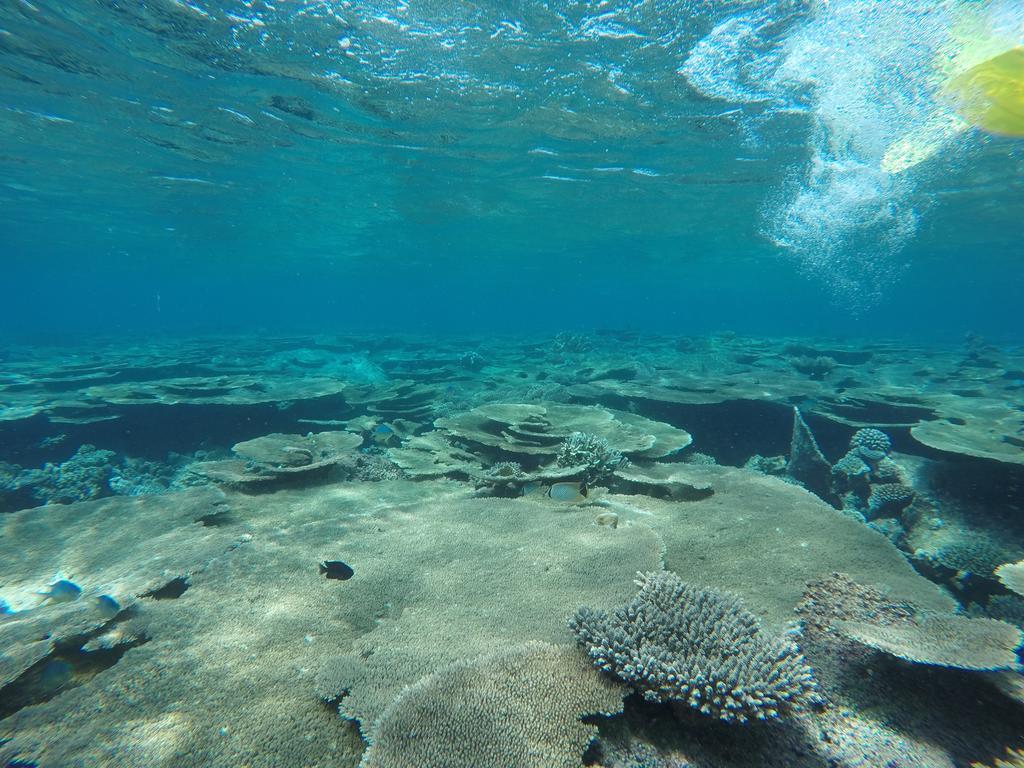 Holiday Haven Ukulhas Zewnętrze zdjęcie